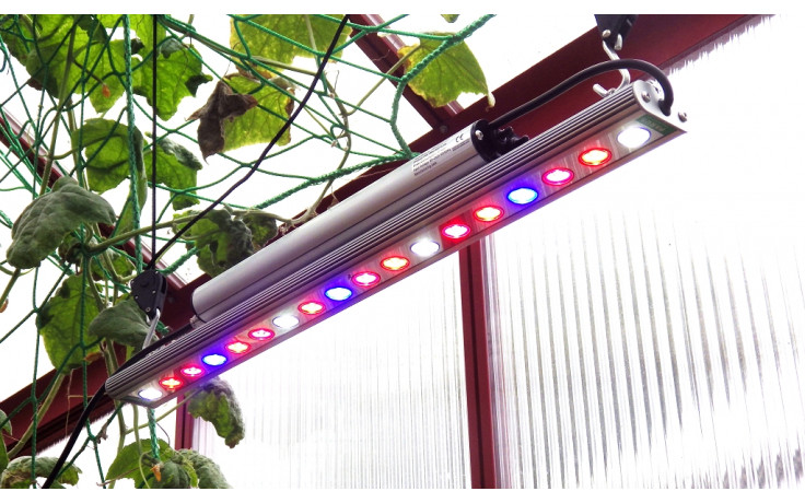 LED Pflanzenleuchte GrowLight, 30 W Stabile Gewächshäuser & Hochbeete
