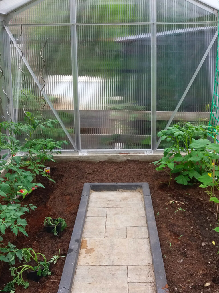 Tomatenratgeber für Gewächshäuser WAMA Ratgeber