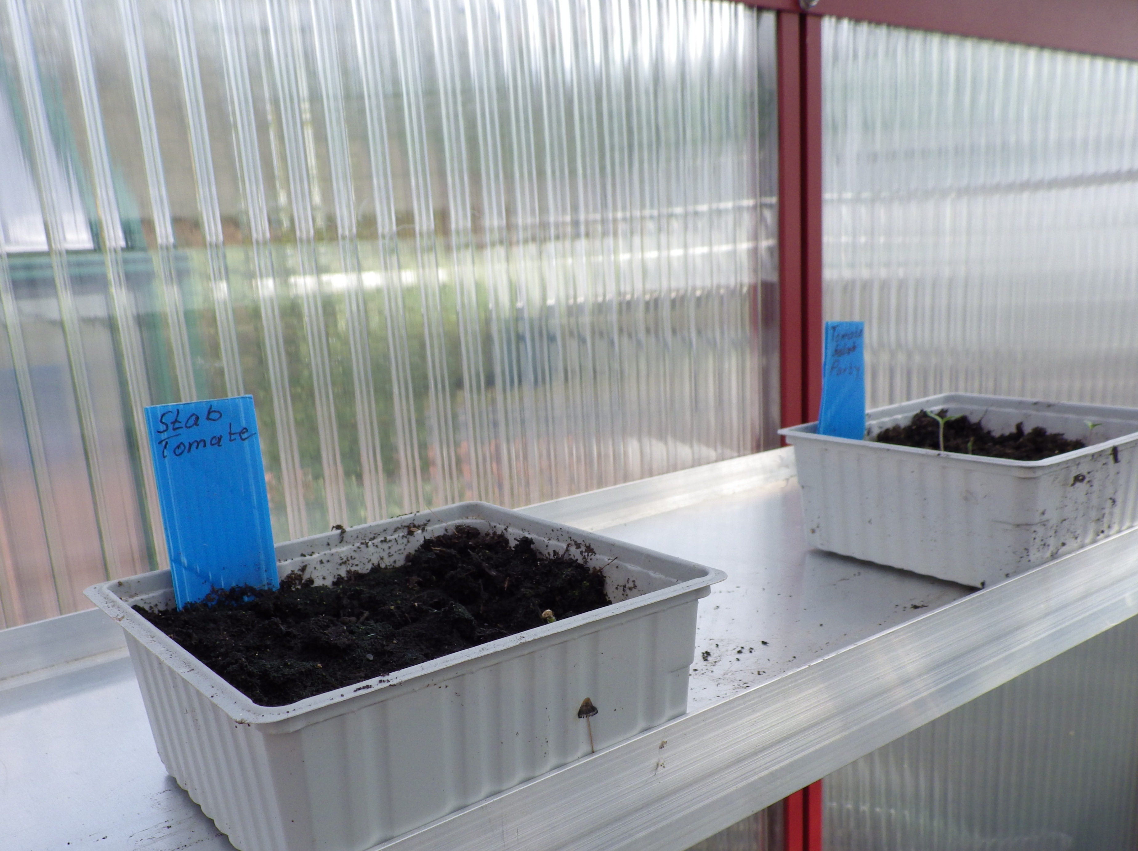 alu ablage 60 x 21 cm