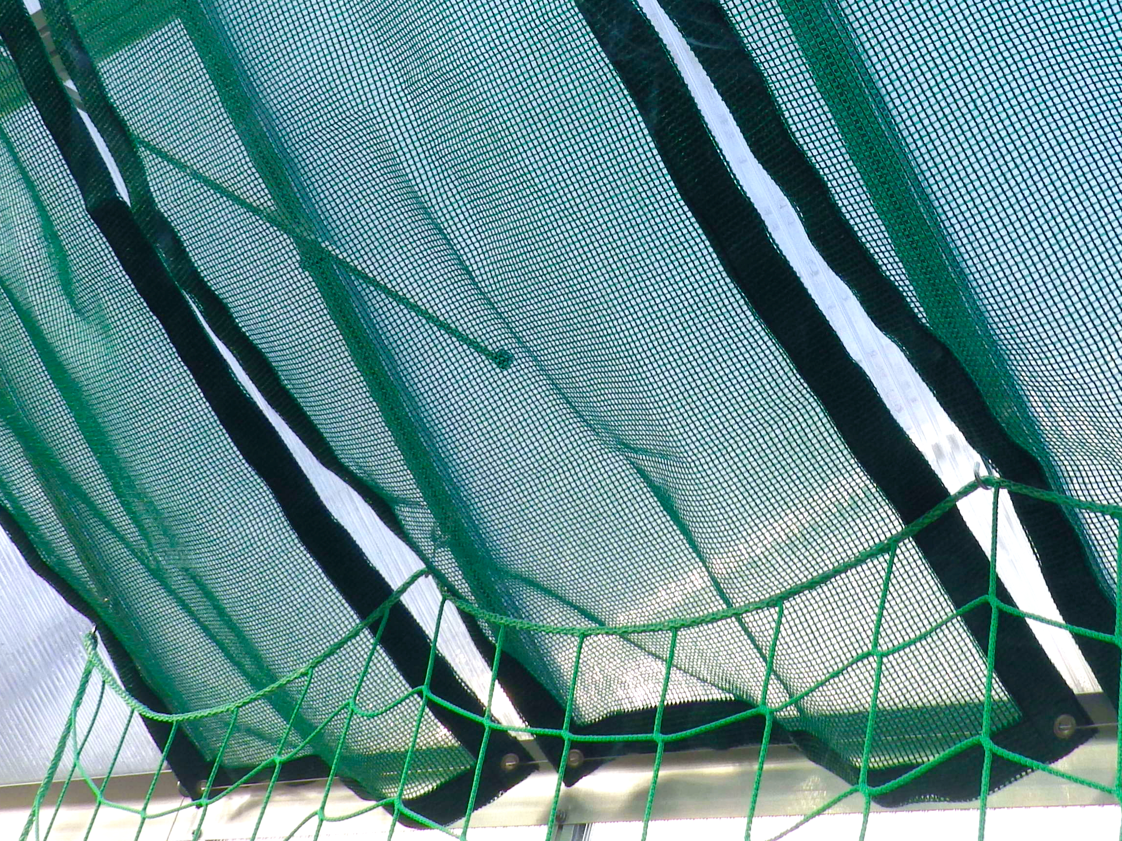 wama schattiernetz größe 60x112cm