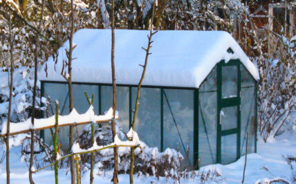 Gewächshaus Mini 50 im Schnee