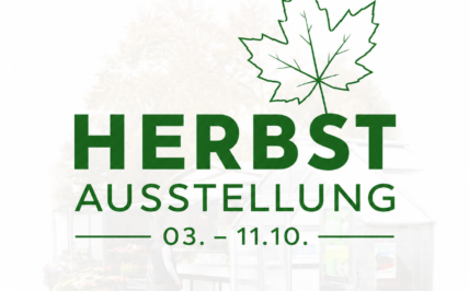 34121 Kassel: Herbst-Ausstellung