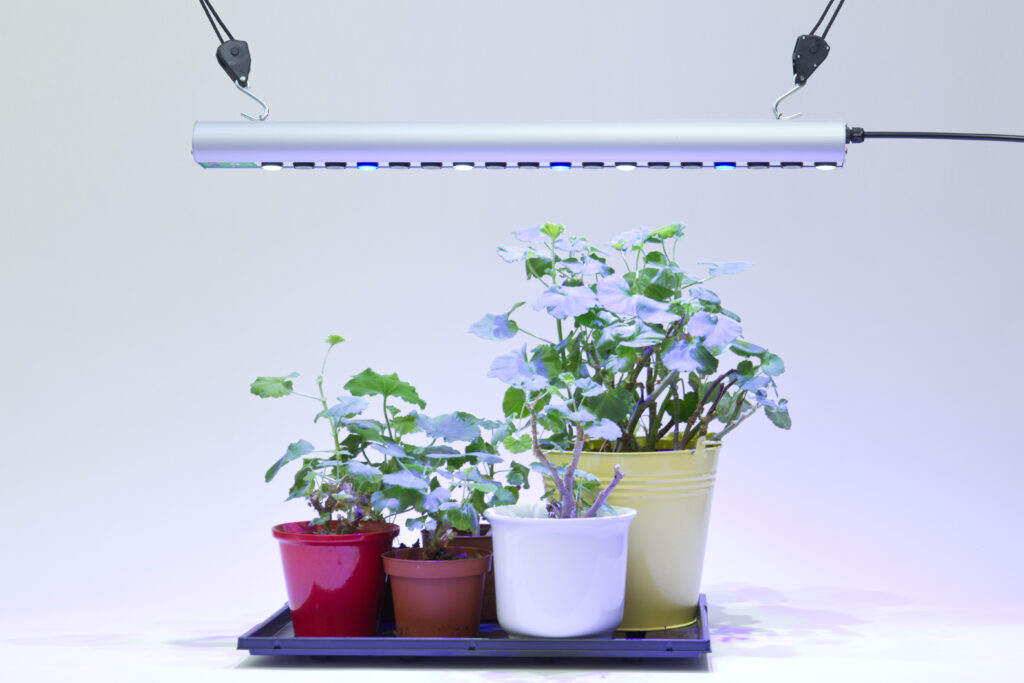 GrowLight mit einstellbarerer Lichtlänge für die Überwinterung