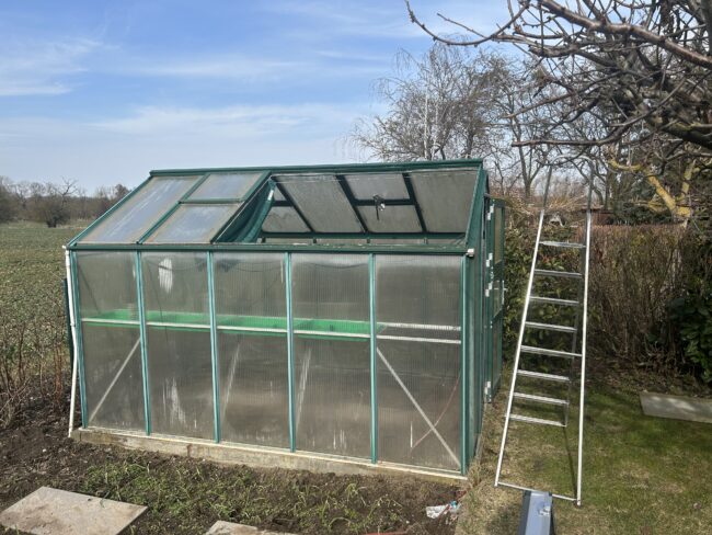 Aluminium-Gewächshaus im Garten mit Leiter während der Erneuerung des Dachs
