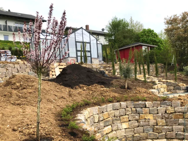Mauergewächshaus im oberen Bereich eines terrassierten Hanggartens mit Natursteinmauern und neu angelegter Gartenanlage
