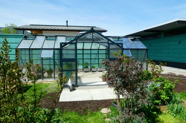 Großes Aluminium Gewächshaus mit Erker und geöffneten Türen im gepflegten Garten