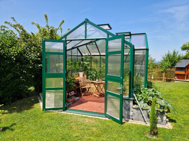 Ein grünes Aluminium-Gewächshaus mit transparenten Stegplatten und geöffneter Tür. Im Inneren stehen Holzstühle, ein kleiner Tisch und zahlreiche Pflanzen. Das Gewächshaus steht in einem gepflegten Garten mit viel Grün.