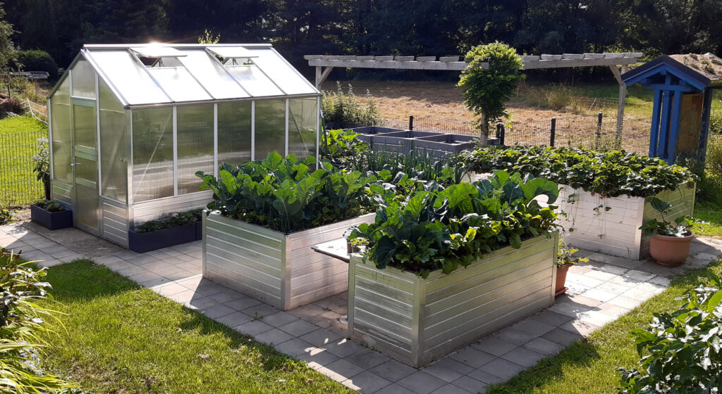 WAMA Hochbeet-Gewächshaus und drei Hochbeete mit Aluminium-Paneelen, bepflanzt mit Gemüse in einer Gartenanlage
