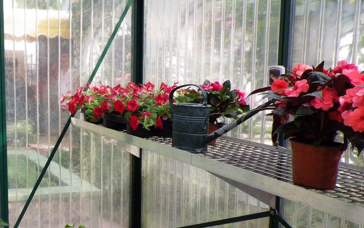 Regale für Ihr Gewächshaus Stabile Gewächshäuser & Hochbeete online