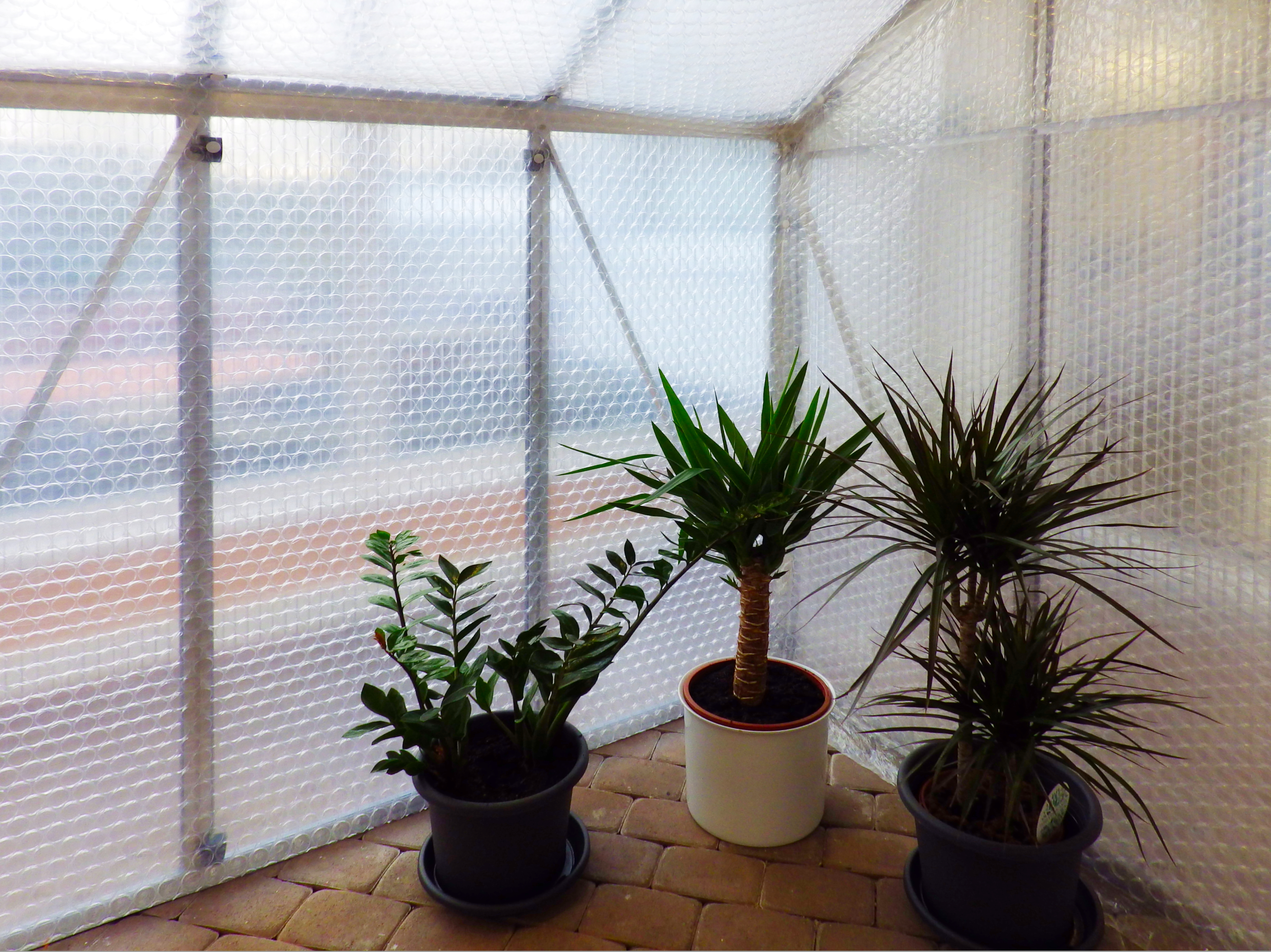 thermoset tropic (1)