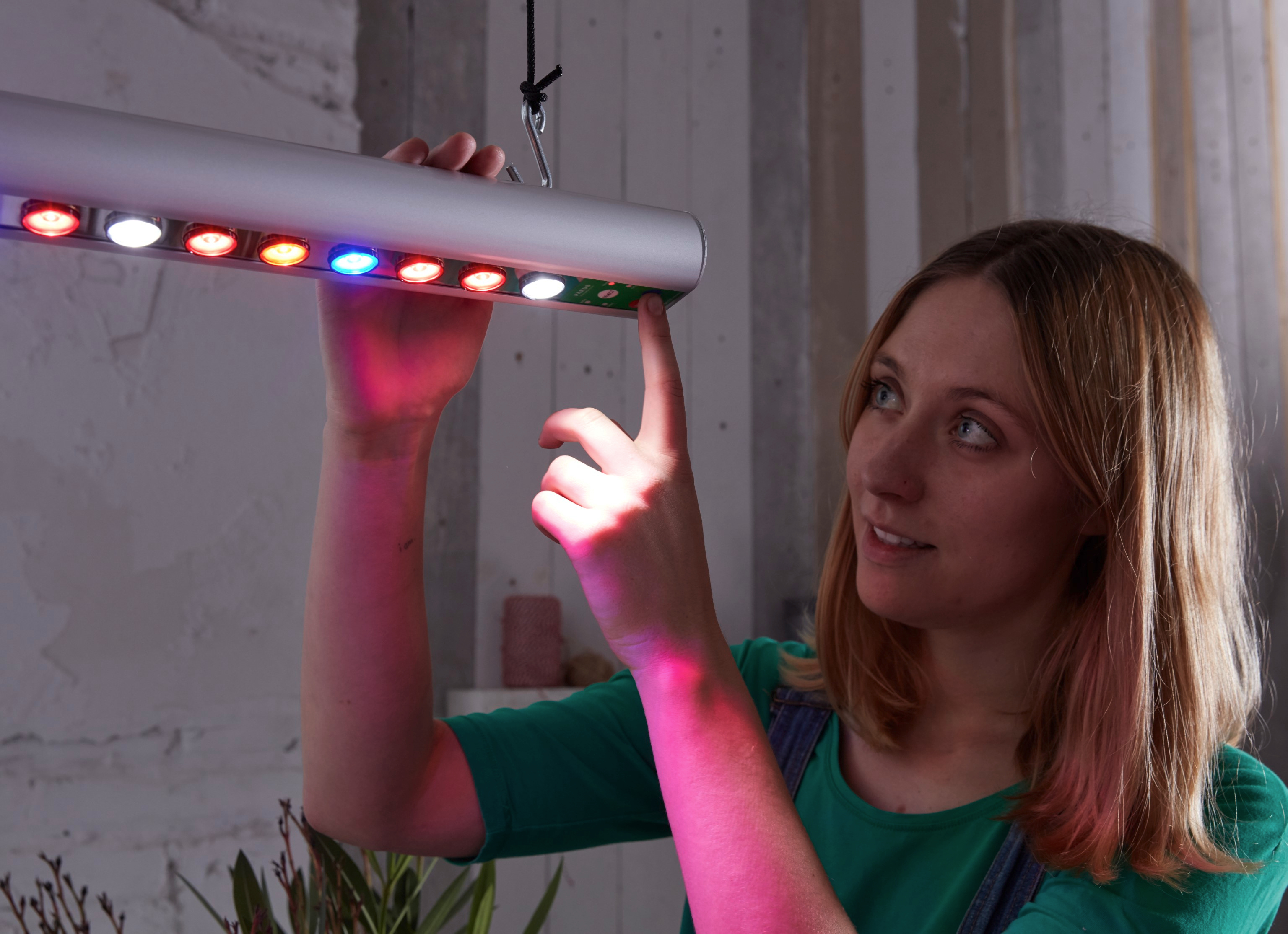Pflanzenlampen