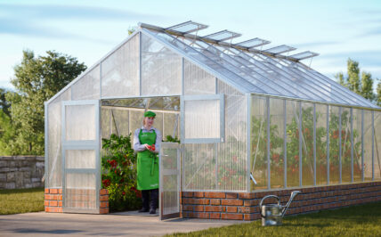 WAMA Gewächshaus Profi XL 100 Mauer in Alu